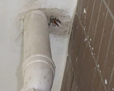 石嘴山漏水检测哪家好